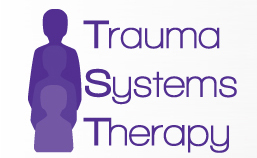 Trauma systems logo