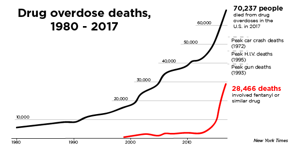 New York Times Drug Overdose Deaths
