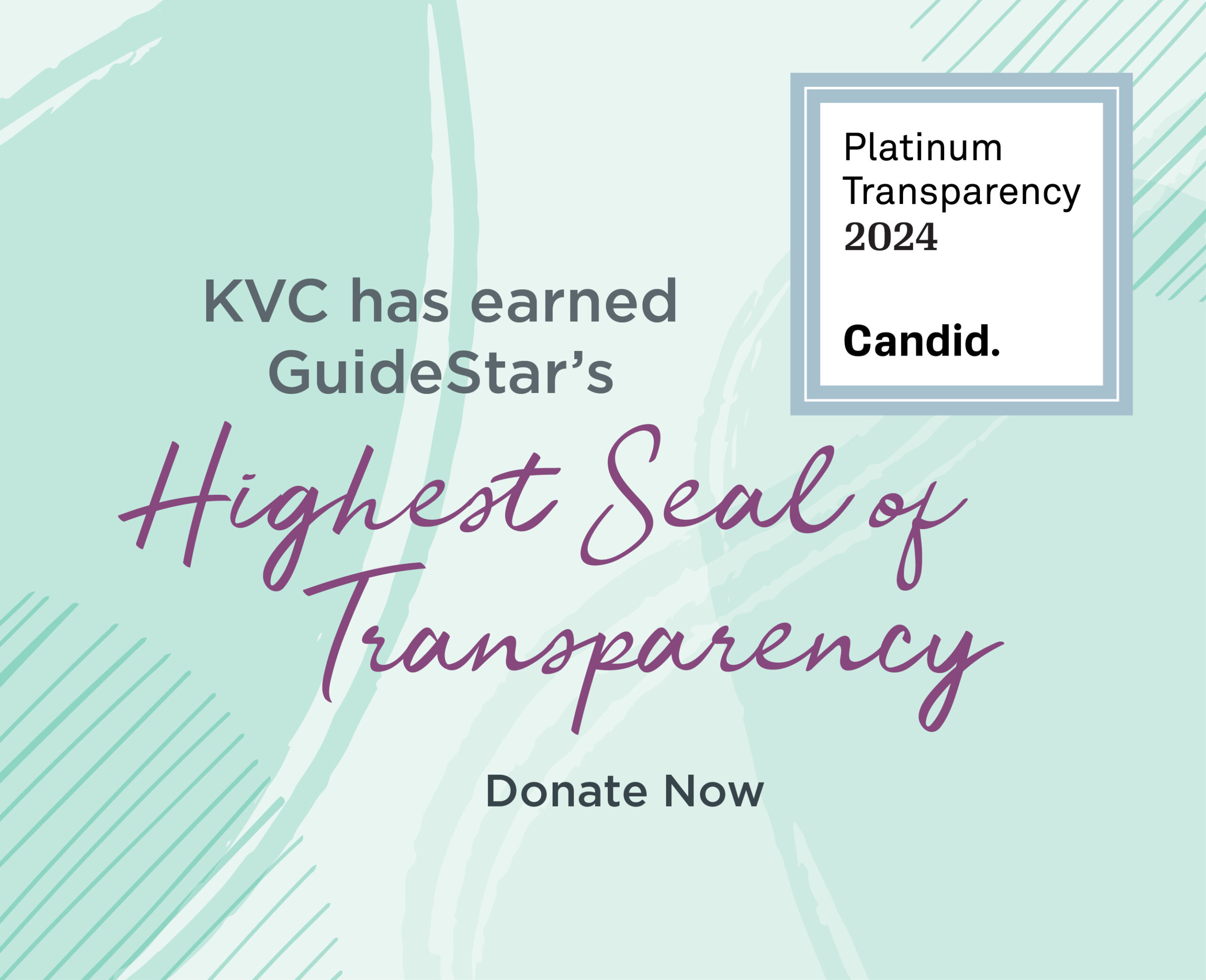 Guidestar Platinum 640x520